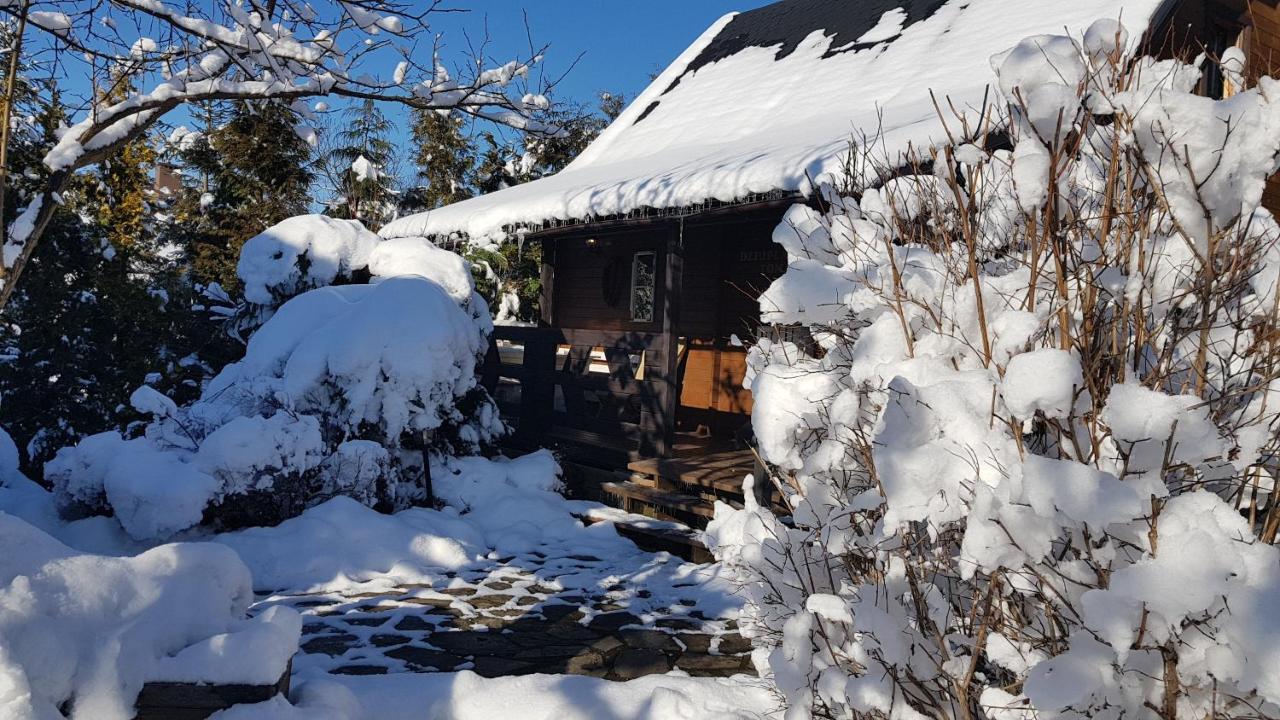 Chata Starych Znajomych Sanok Exteriör bild